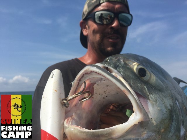 La Villa Elijah Maison d'Hôtes - Guinée Conakry - Camp de Pêche et de Chasse Sous-Marine - Guinea Conakry Fishing & Spearfishing Camp - GCFSC